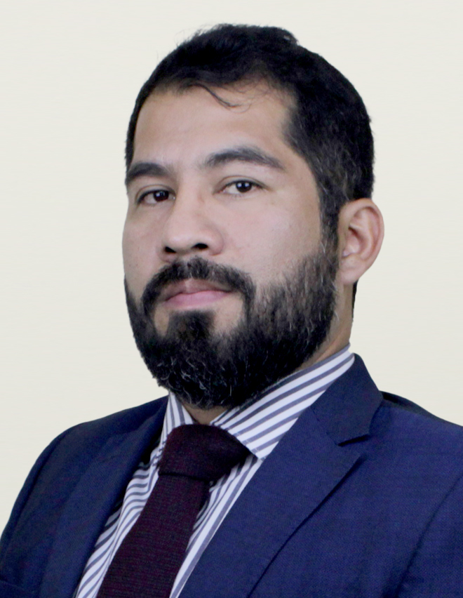 ARANA ÑIQUE, HERNAN ALFONSO